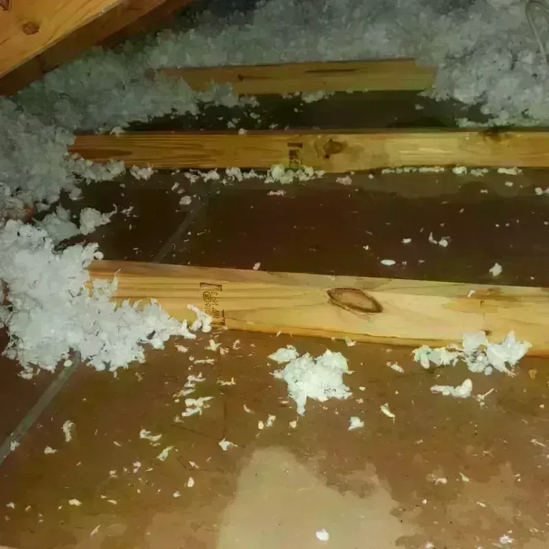 Attic Water Damage in Lakeview Estates, GA