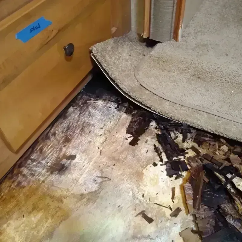 Best Wood Floor Water Damage Service in Lakeview Estates, GA